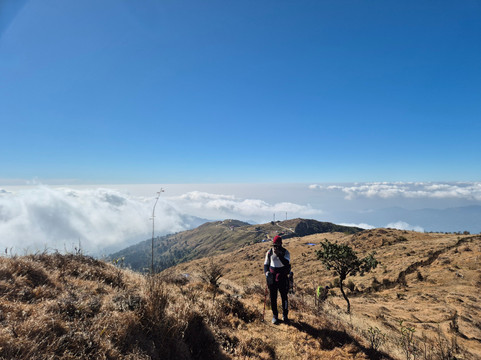 Blue Dragon Adventure And Travel-大吉岭必去景点