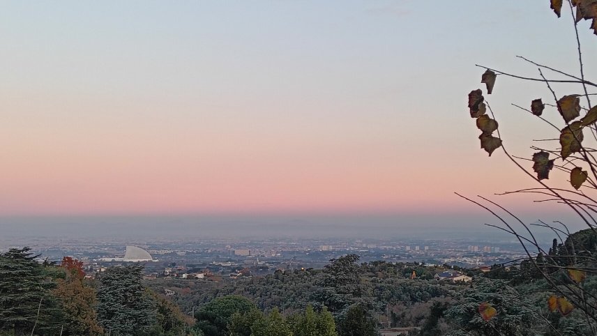 莫西蒂斯别墅酒店-官方