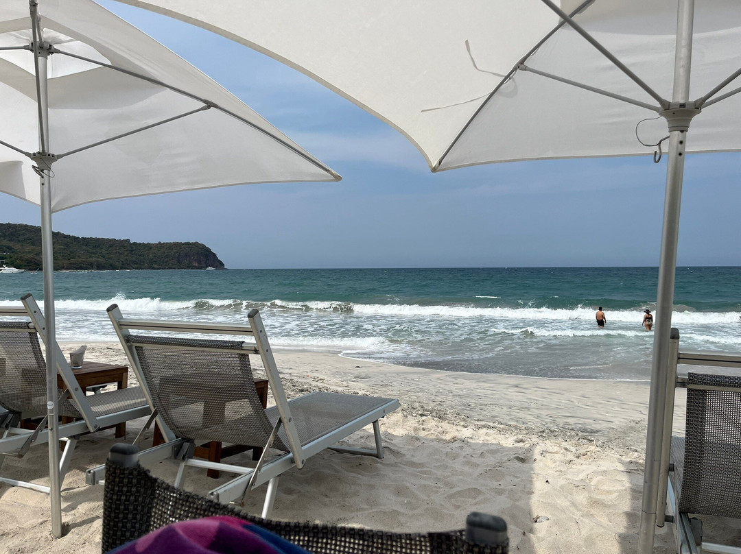 El Barracuda Punta Mita