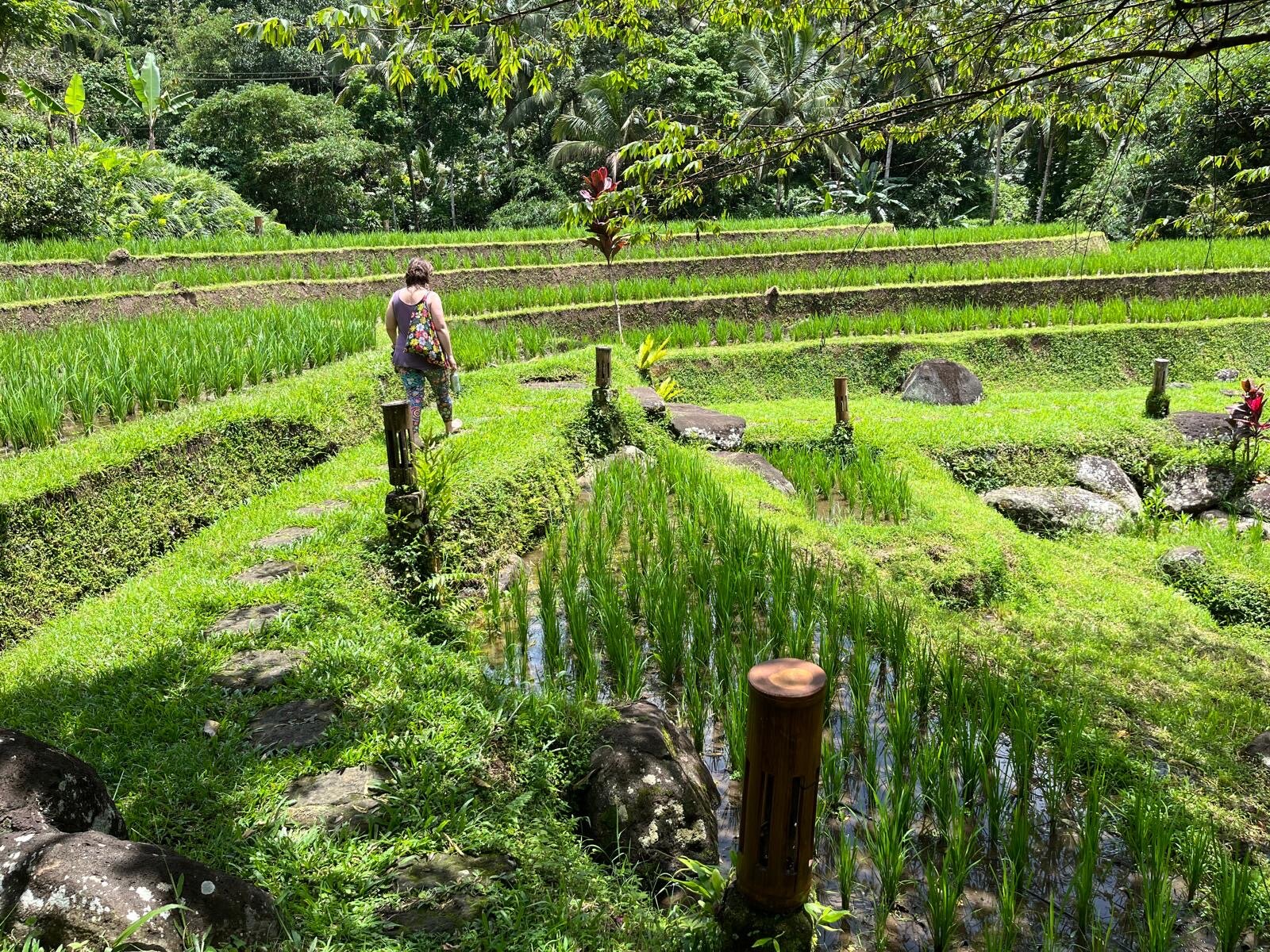 巴厘岛生态度假村-官方