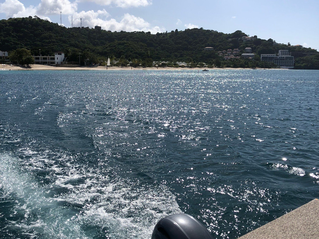 Eco Dive-St. George's必去景点