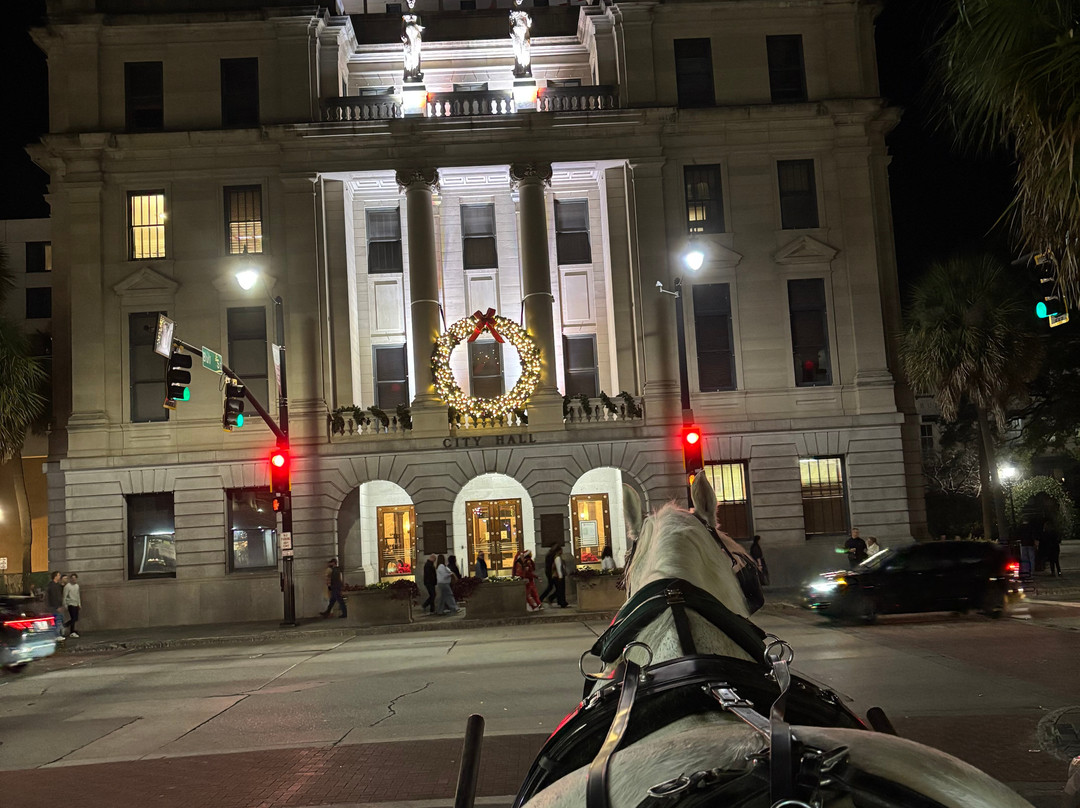 Savannah Carriage Tours-萨凡纳必去景点