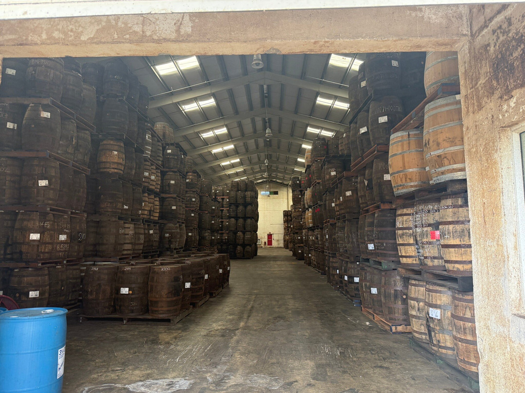 Mount Gay Rum Distillery-Benthams必去景点