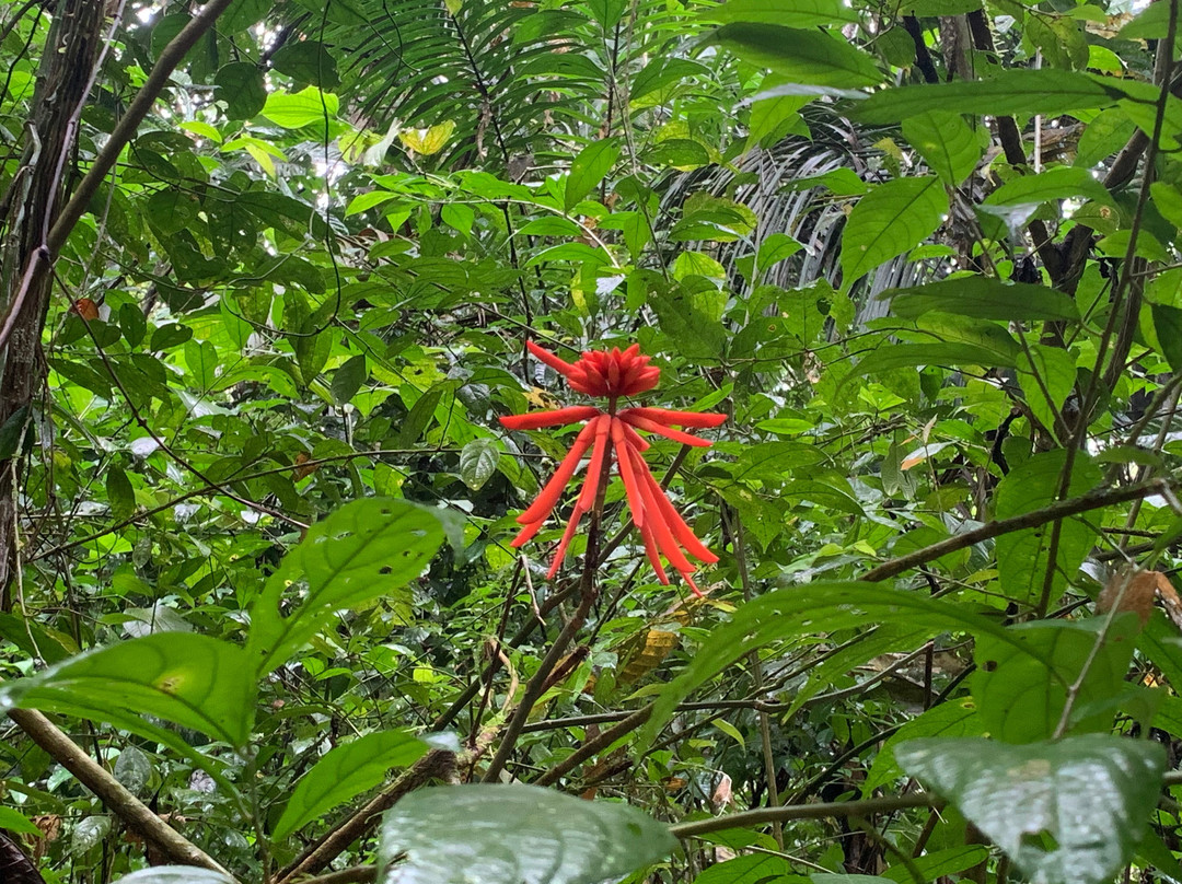 Yala Tours Panama-巴拿马城必去景点