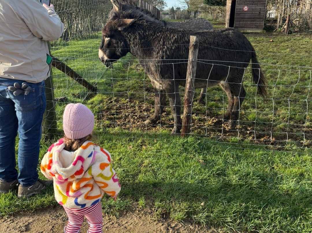 Windmill Farm Park-Kibworth Harcourt必去景点