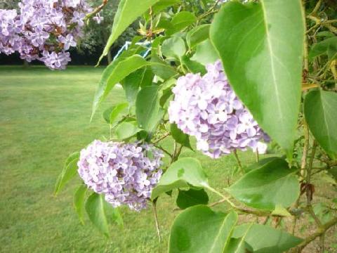 拉特奇米德住宿加早餐酒店-客卧