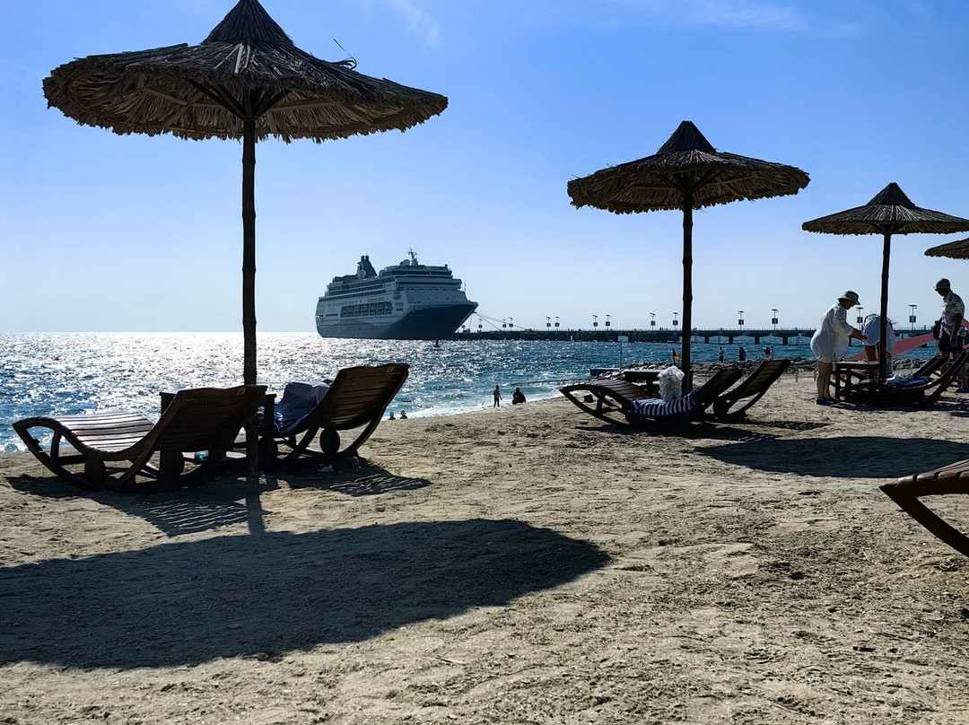 Sir Bani Yas Cruise Beach-萨巴尼亚岛必去景点