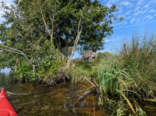 Lotus Outdoor-兹沃勒必去景点