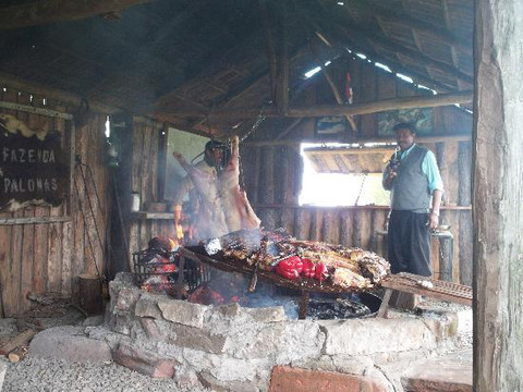 Fazenda Palomas主图