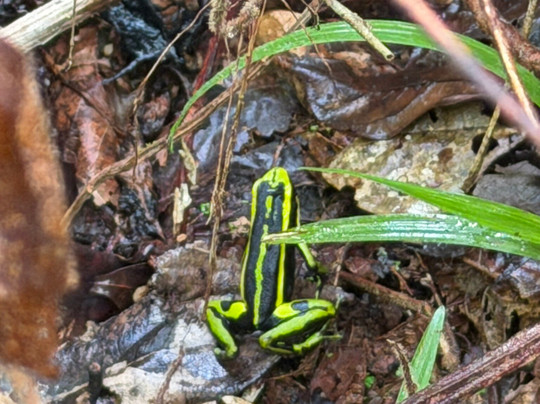 Colombia Remote Adventures-莱蒂西亚必去景点