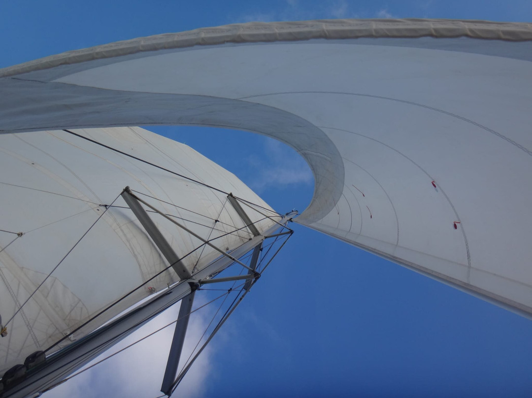 TY-Domino Catamaran-Le Robert必去景点