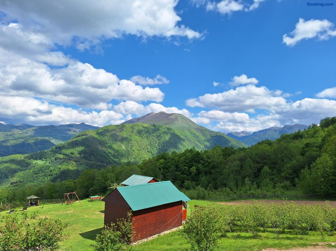 Bjelojevici酒店住宿-Koliba Coric