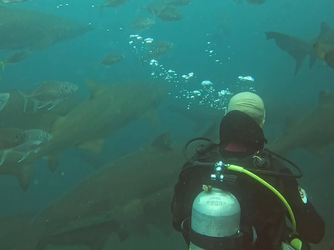 Wolf Rock Dive Centre-Rainbow Beach必去景点