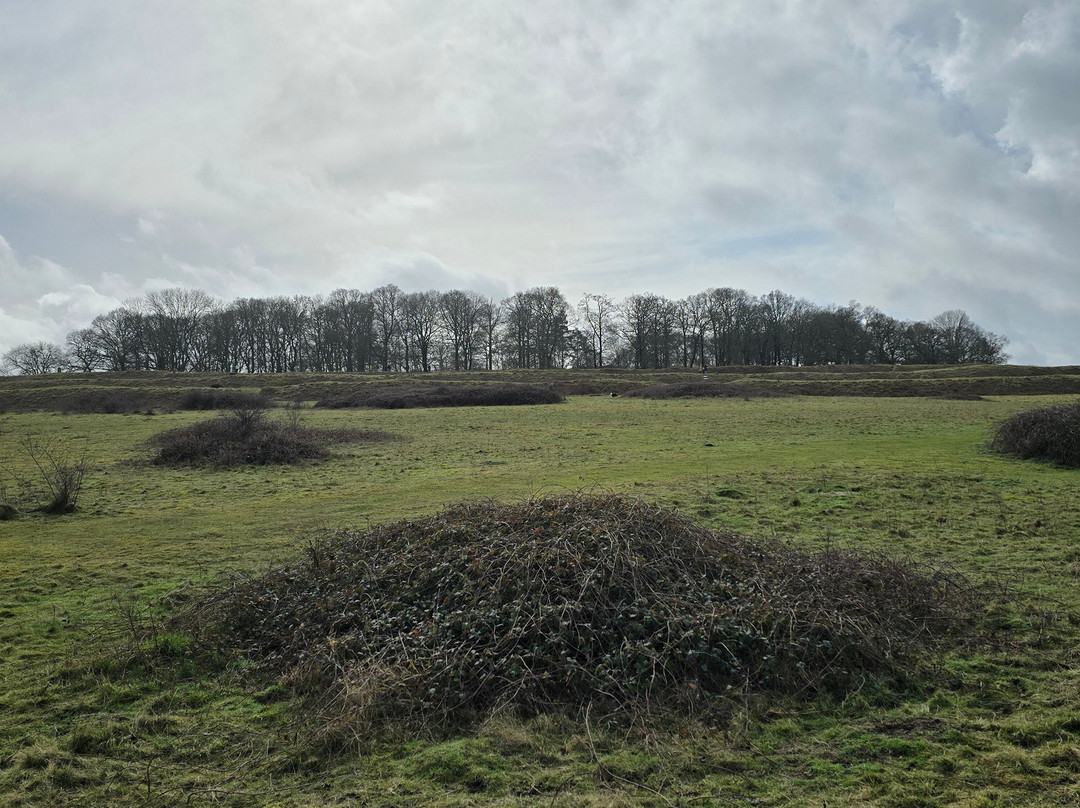 Badbury Rings-Wimborne Minster必去景点