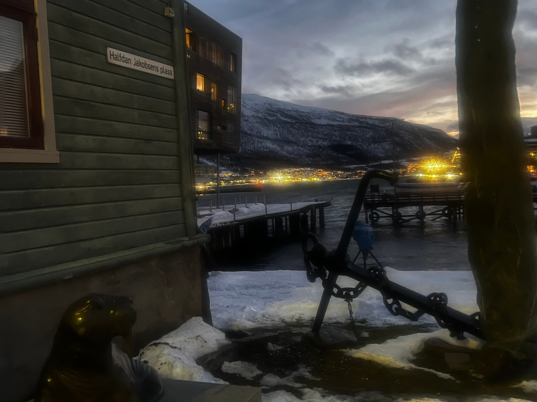 Roald Amundsen Monument-特罗姆瑟必去景点