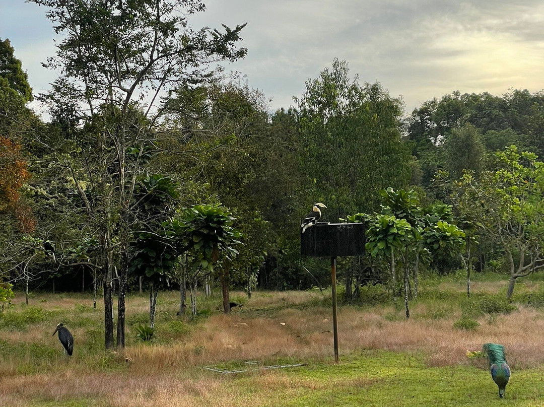 Wildlife Alliance-戈公必去景点