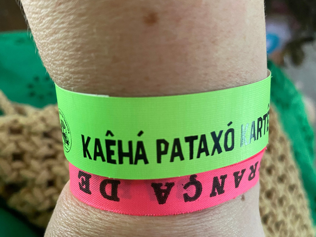 Reserva Pataxo da Jaqueira-Porto Seguro必去景点