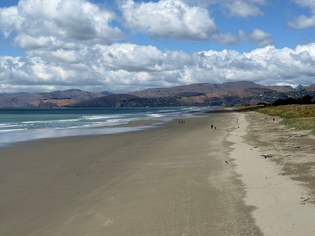 新布赖顿海滩-基督城必去景点