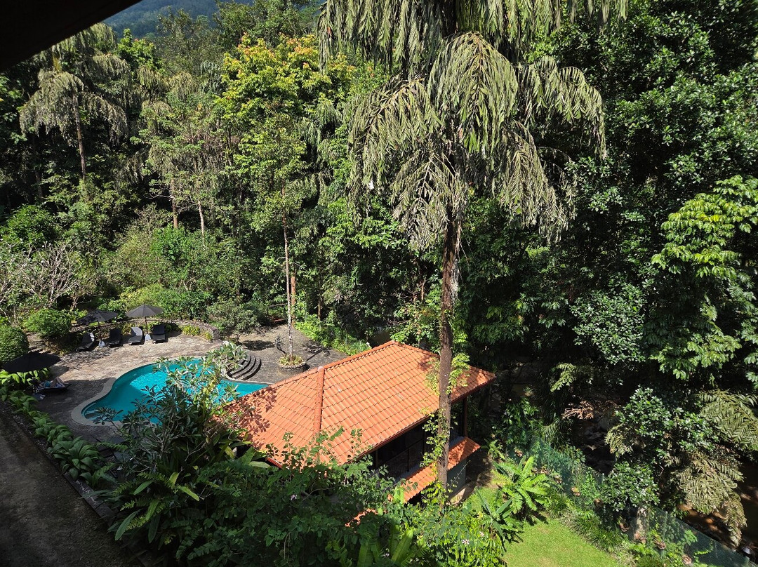 Moksha At Kitulgala主图