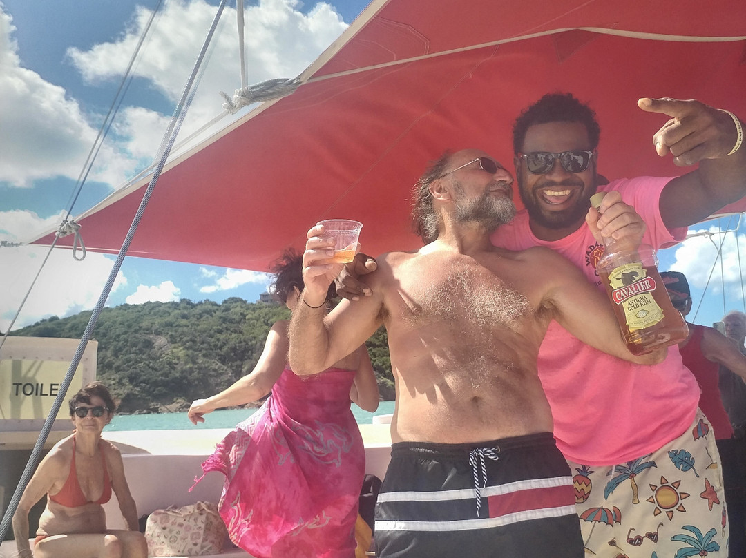 Wadadli Cats-安提瓜必去景点