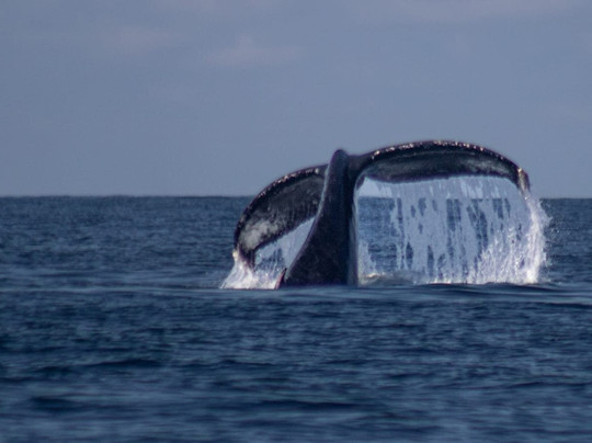 Apache Tours-蓬塔米塔必去景点