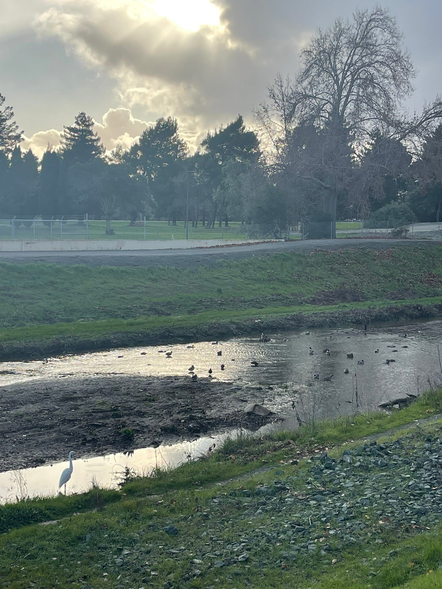 The Ameswell Hotel-官方