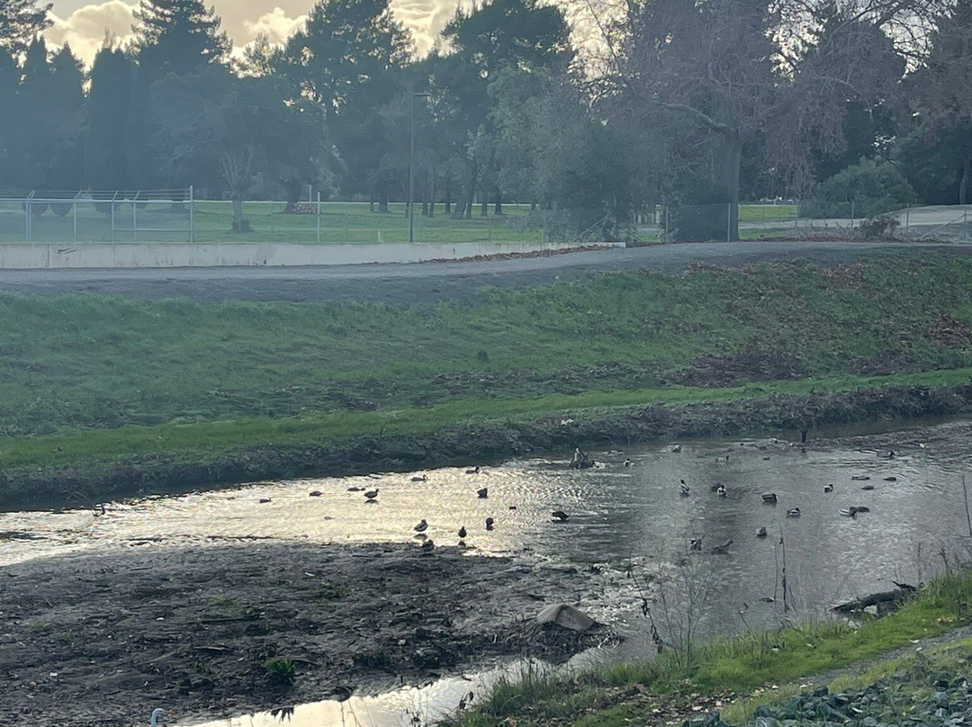 The Ameswell Hotel主图