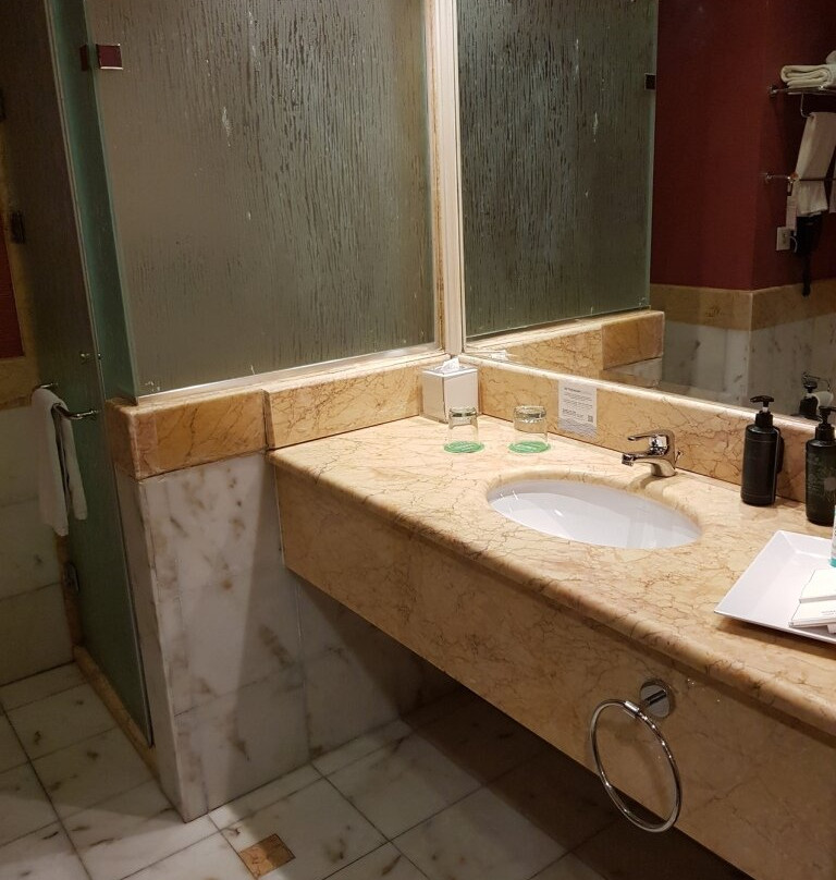 Wyndham Garden Dammam主图