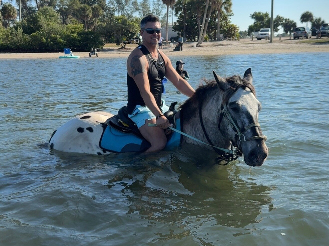 Florida Beach Horses-布雷登顿必去景点