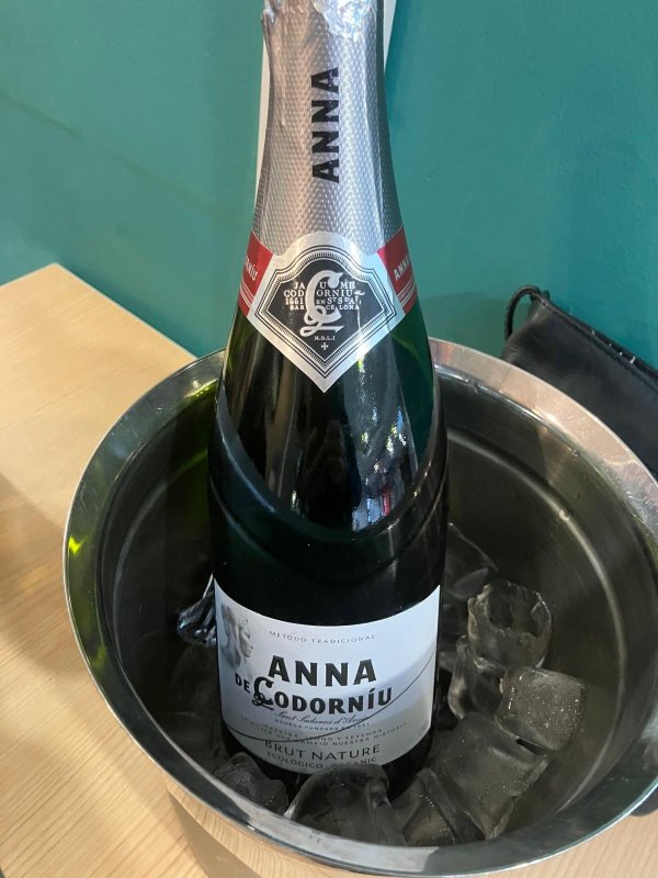 宜必思吉罗纳布拉瓦海岸酒店-官方