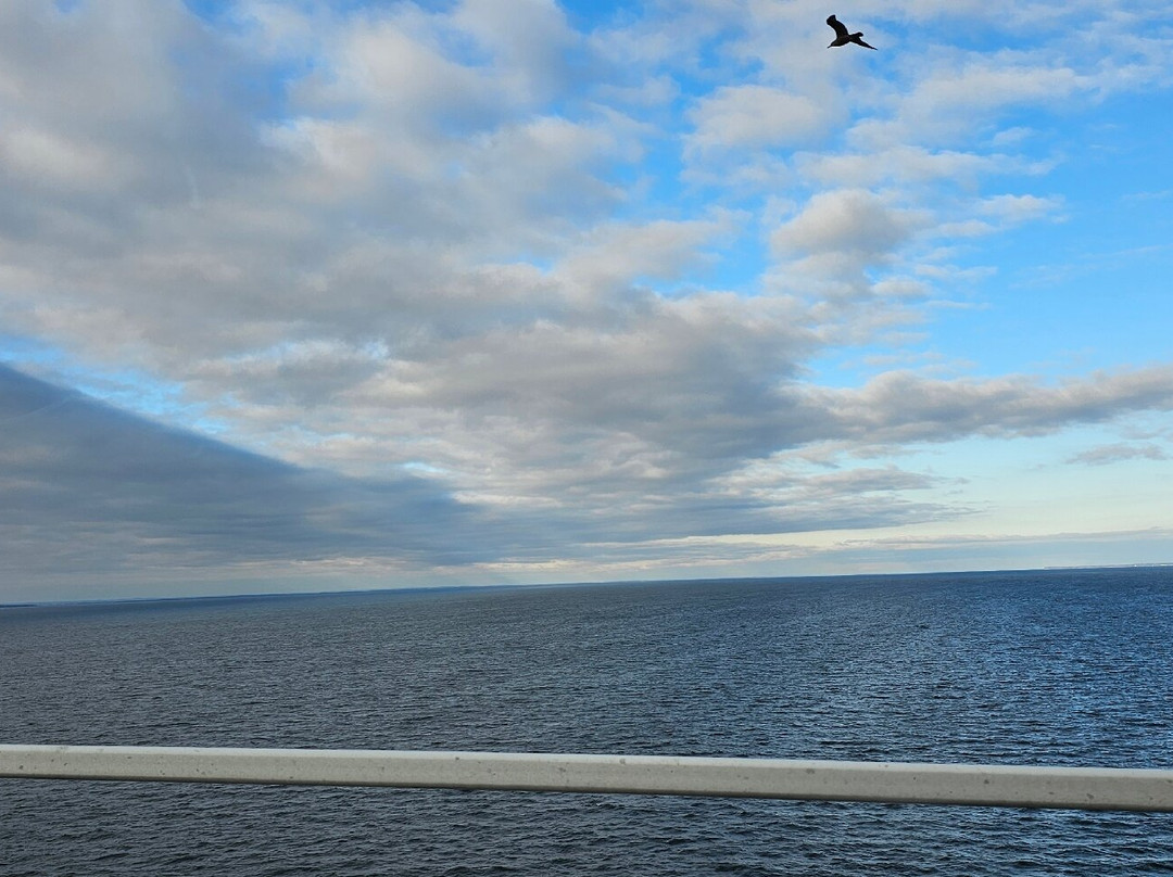 Chesapeake Bay Bridge-安纳波利斯必去景点