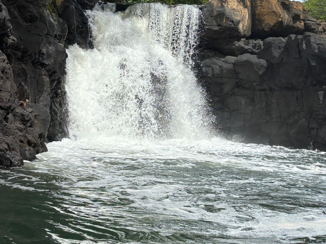 Apollon Cruise-Palmar必去景点