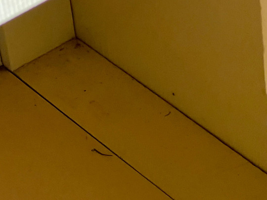 Donnybrook Motel主图