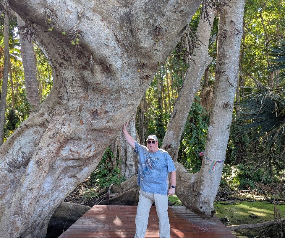 Kham Chanod Forest-万吞必去景点