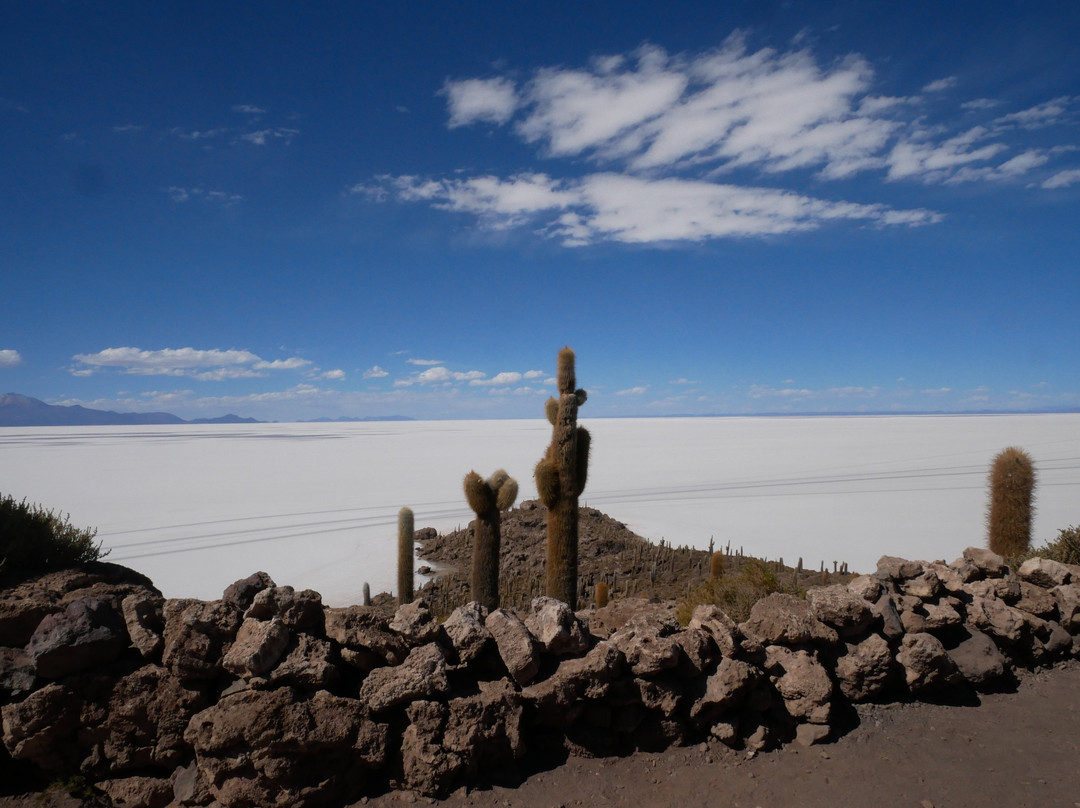 Isla Incahuasi-乌尤尼必去景点