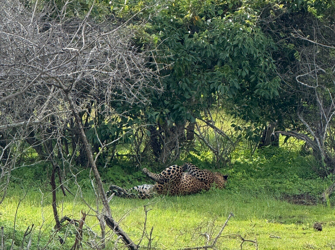 Come Visit Sri Lanka-康提必去景点