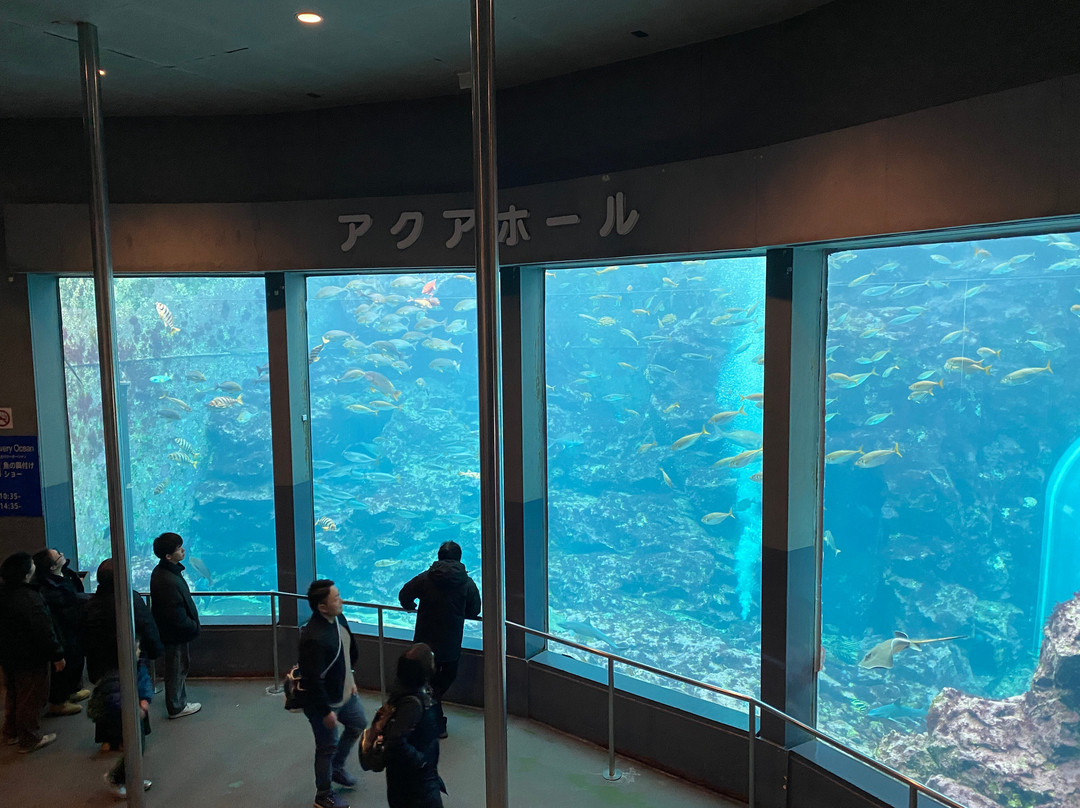 Shimoda Aquarium-下田市必去景点