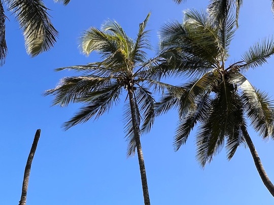 Tayrona Tented Lodge主图