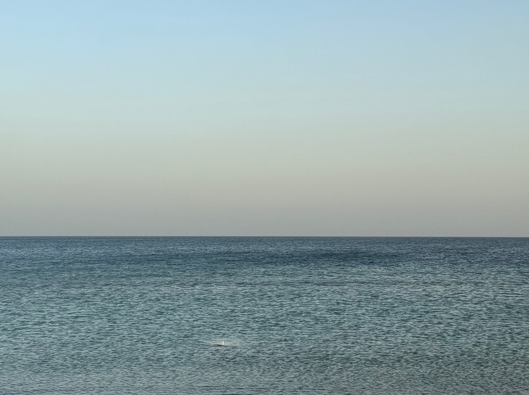 Falcon Tours-多哈必去景点