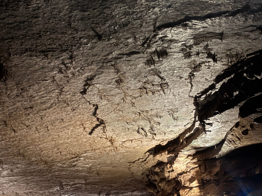 Lost River Cave-鲍灵格林必去景点