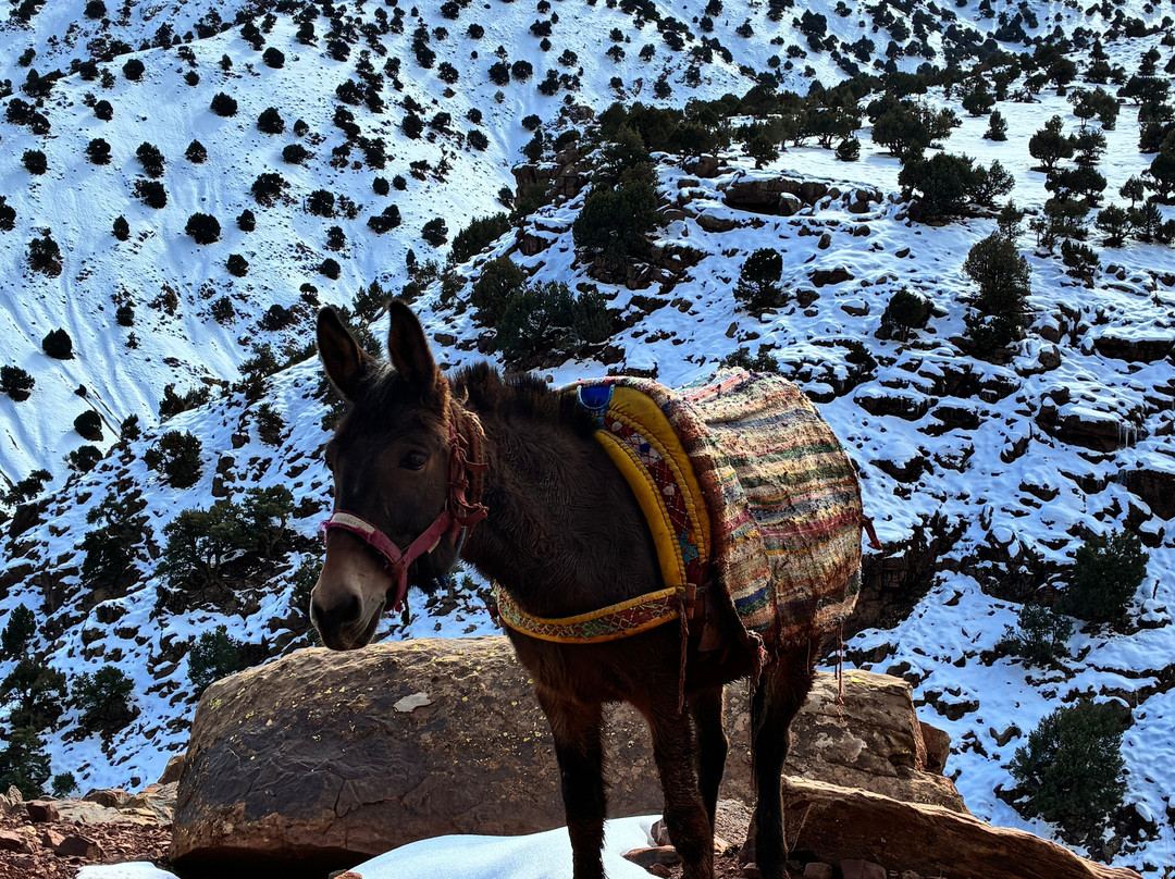 Aztat Treks-伊姆利勒必去景点