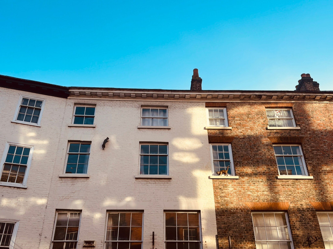 York Cat Trail-约克必去景点