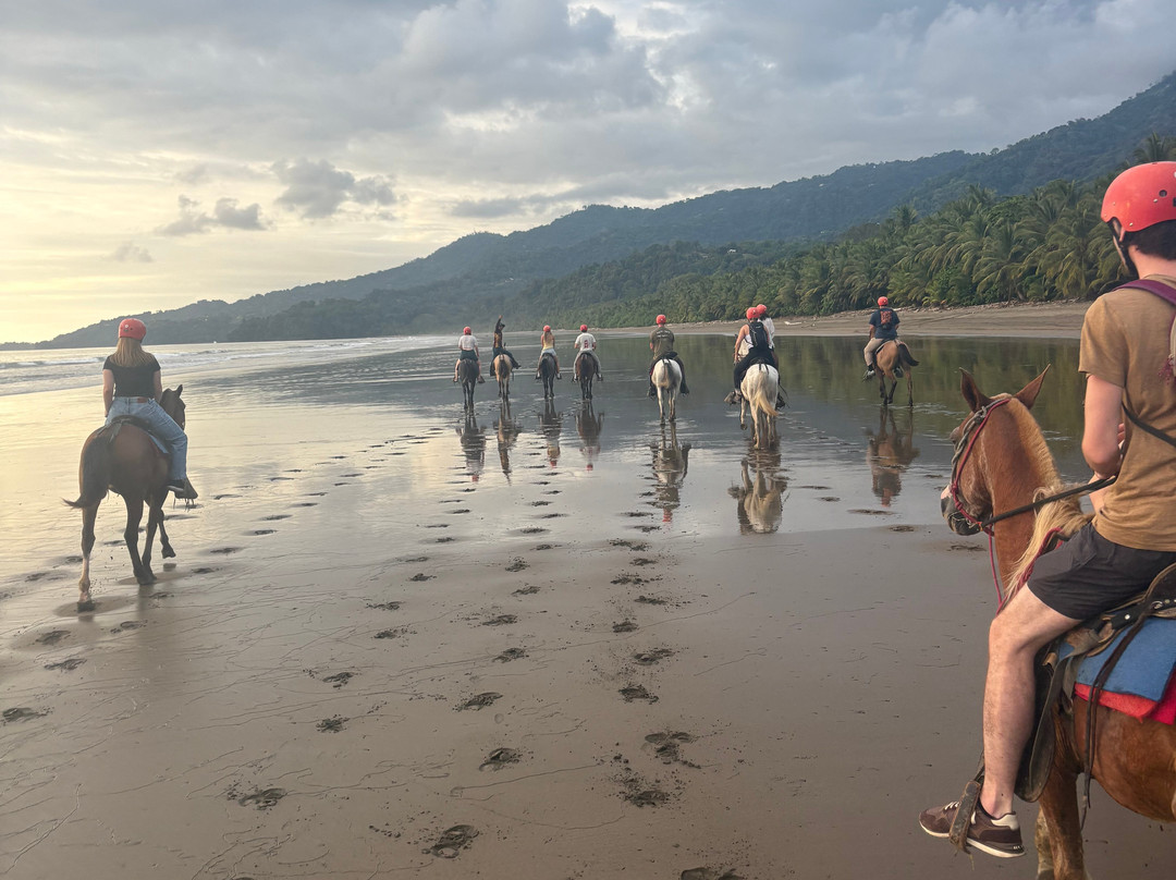 Rancho La Merced National Wildlife Refuge-乌维塔必去景点