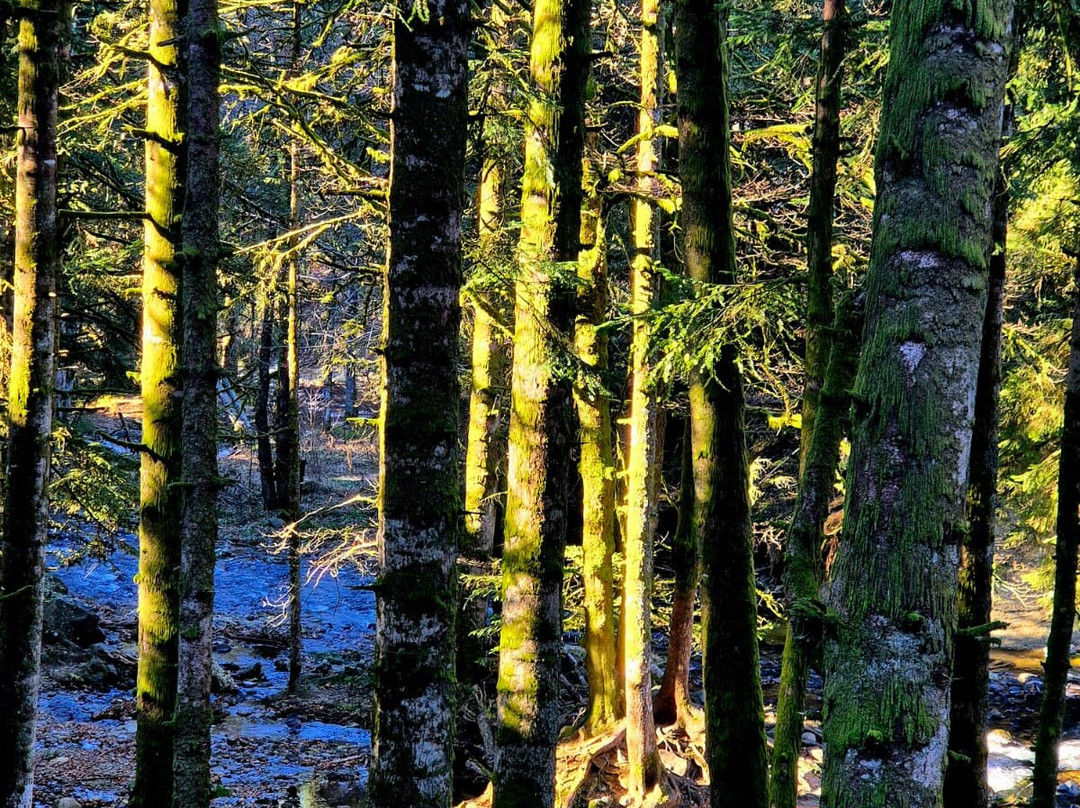 Cascade du Rossignolet-蒙多尔必去景点