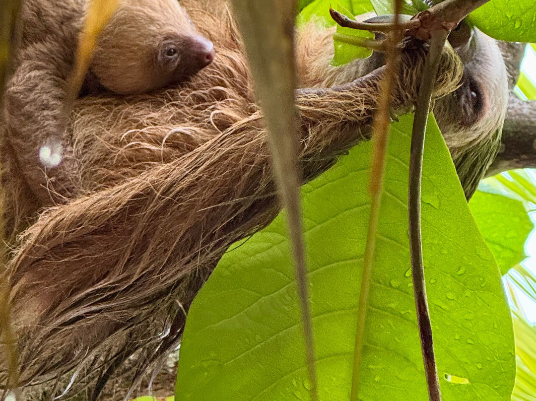Manuel Tour Guide-卡维塔必去景点