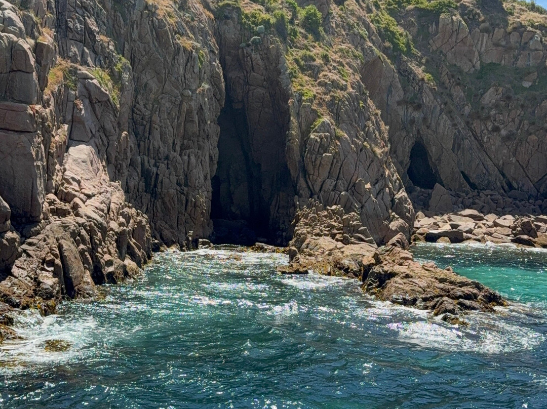 Wildlife Coast Cruises-考斯必去景点