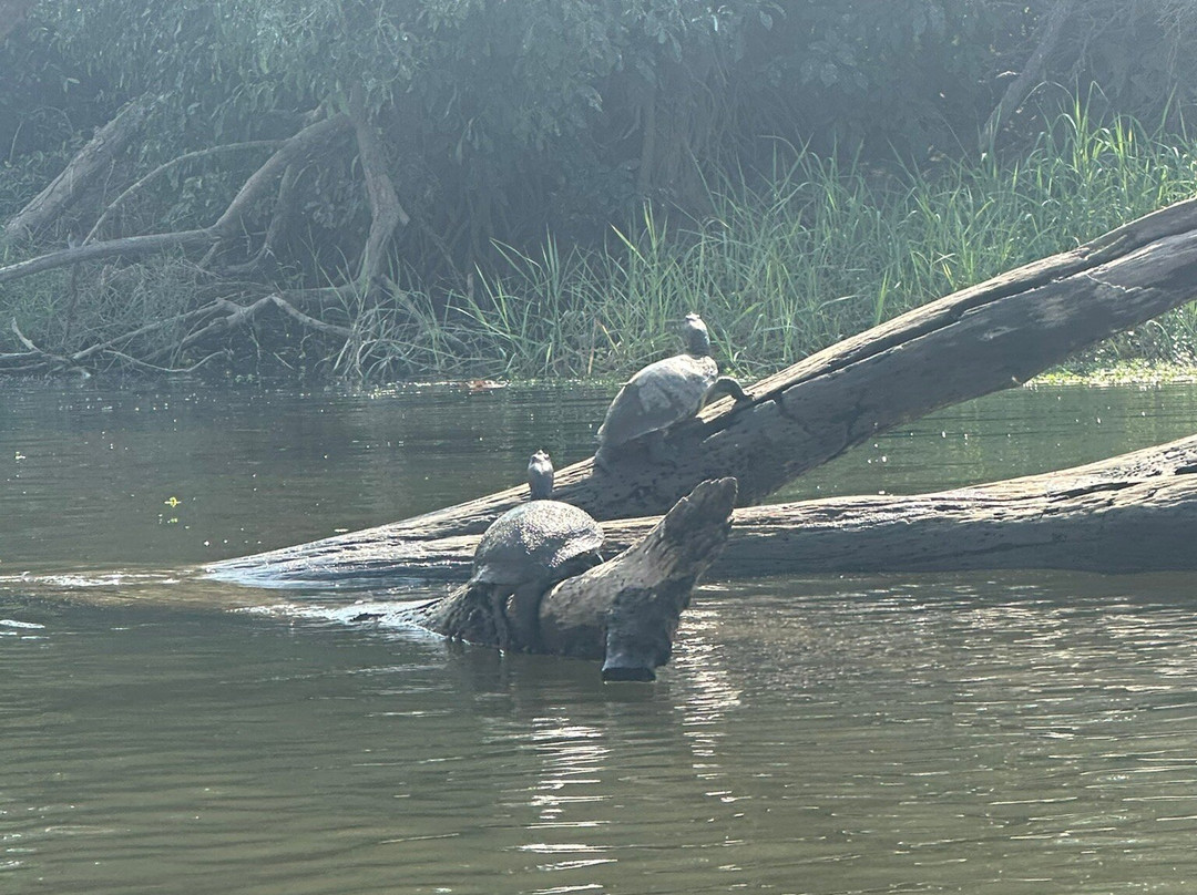 Costa Nativa Ecotours-Troncones必去景点