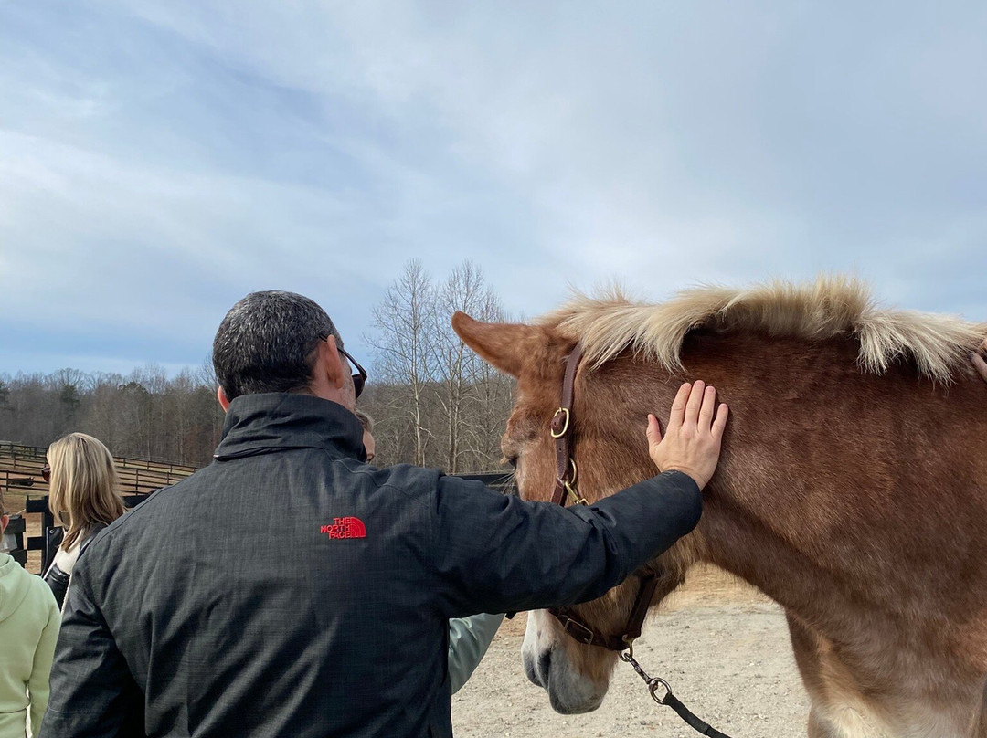 The Sanctuary At Red Bell Run-哥伦布必去景点