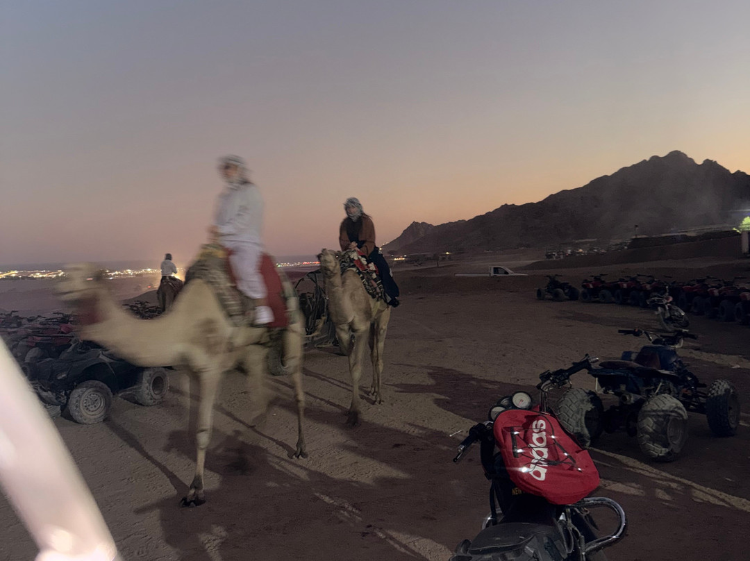 Sun Safari-沙姆沙伊赫必去景点