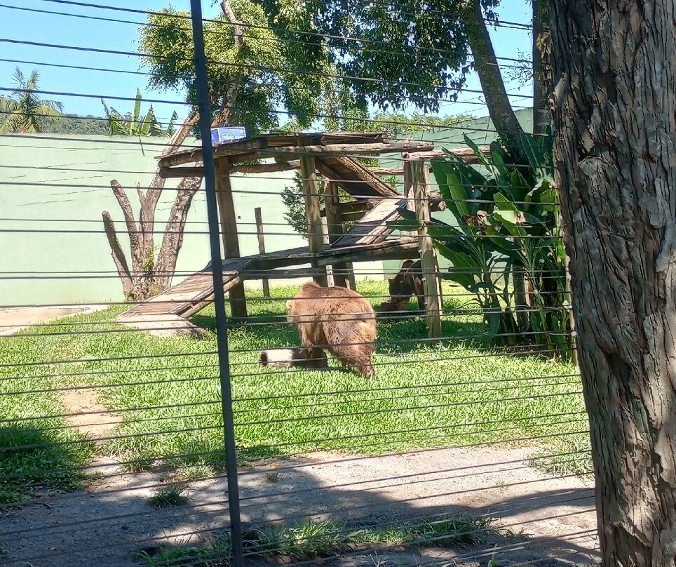 Zoo Pomerode-Pomerode必去景点